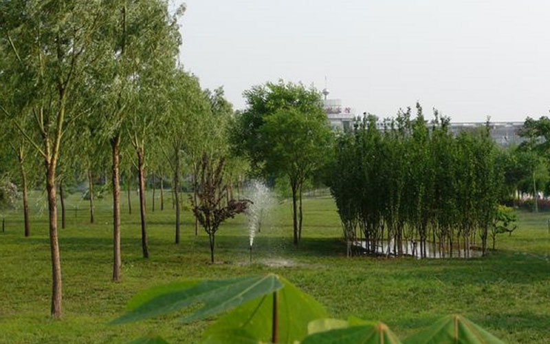 廊坊职业技术学院校园实景