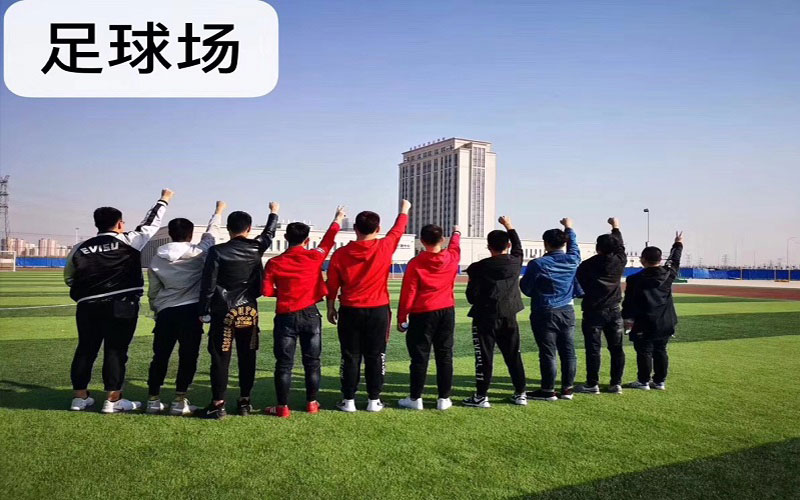 天津滨海汽车工程职业学院校园实景