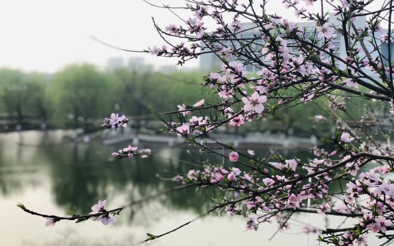 河北科技大学校园实景