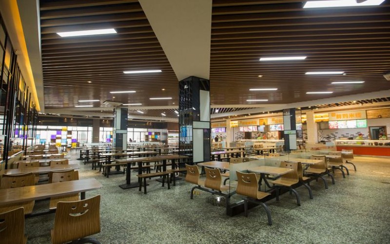 成都大学校园实景