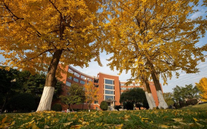 成都大学校园实景