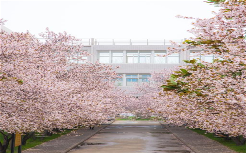 中原工学院校园实景
