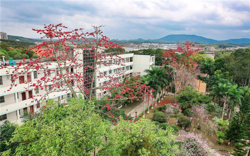 广西职业技术大学校园实景