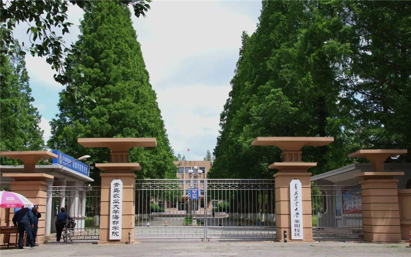 山东开设虚拟现实技术的大学相关院校校园环境
