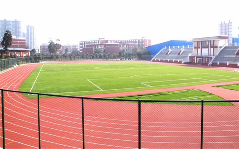 四川托普信息技术职业学院校园实景