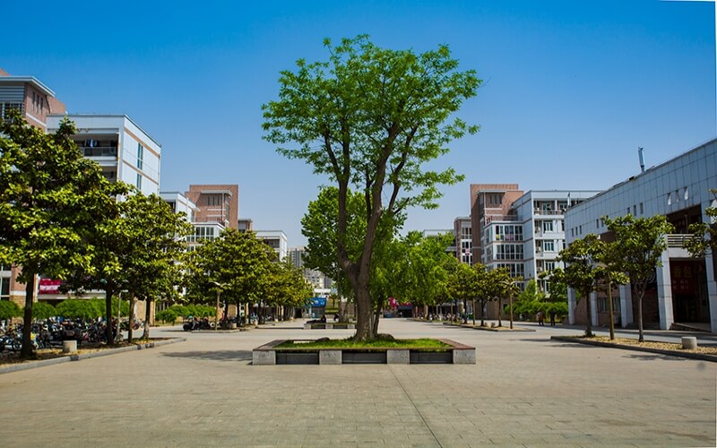 江苏电子信息职业学院校园实景