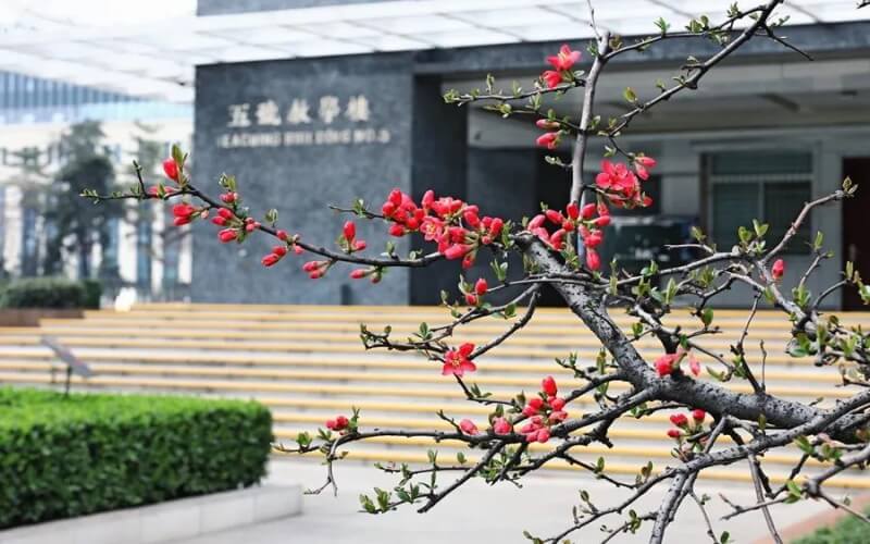 西安音乐学院校园实景
