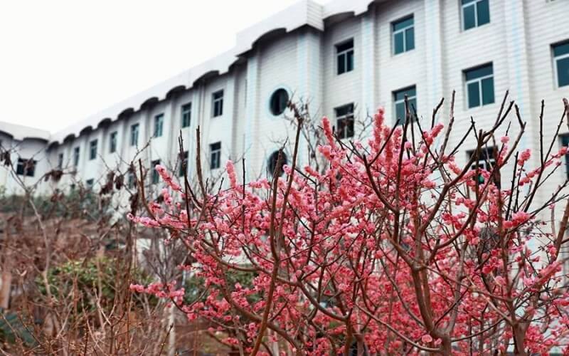 西安音乐学院校园实景