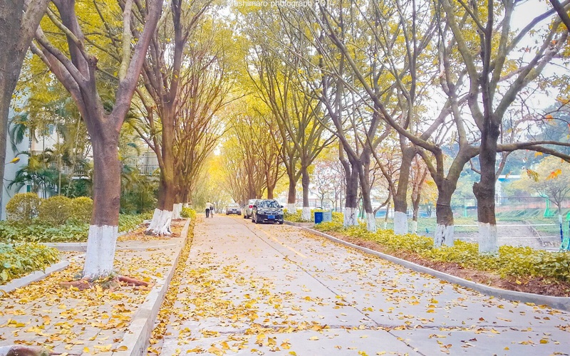 广东财经大学校园实景