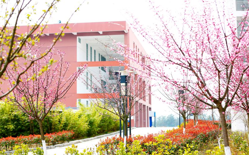 四川幼儿师范高等专科学校校园实景
