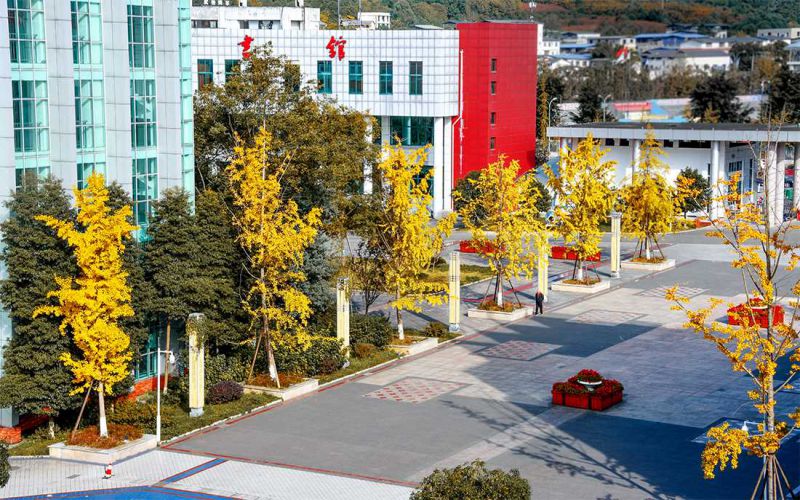 四川幼儿师范高等专科学校校园实景