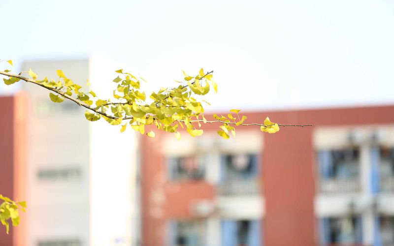 四川幼儿师范高等专科学校校园实景