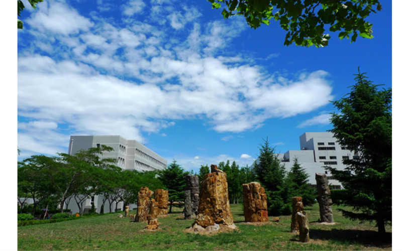 大连大学校园实景