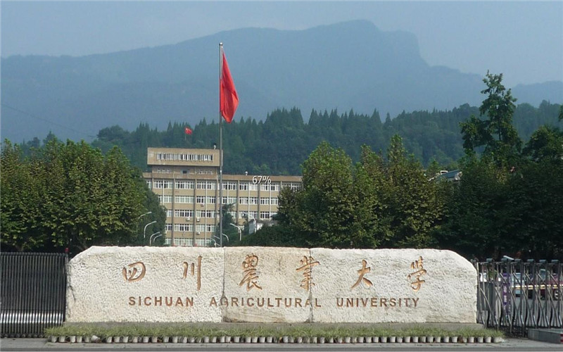 2026年四川农业大学在湖南录取分与位次相关院校校园环境