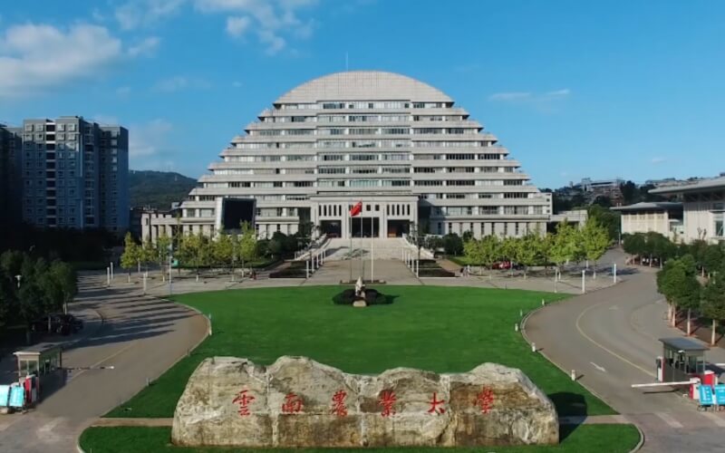 河南能源化工学院校园环境