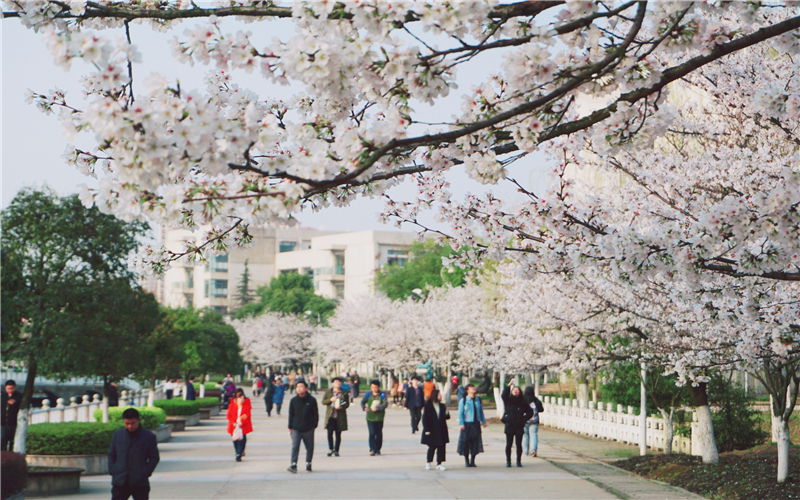 湖北经济学院校园实景