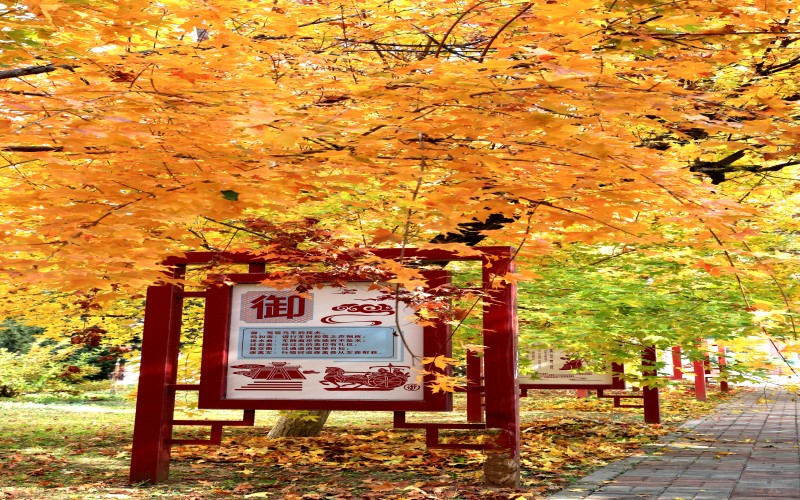 河北石油职业技术大学校园实景
