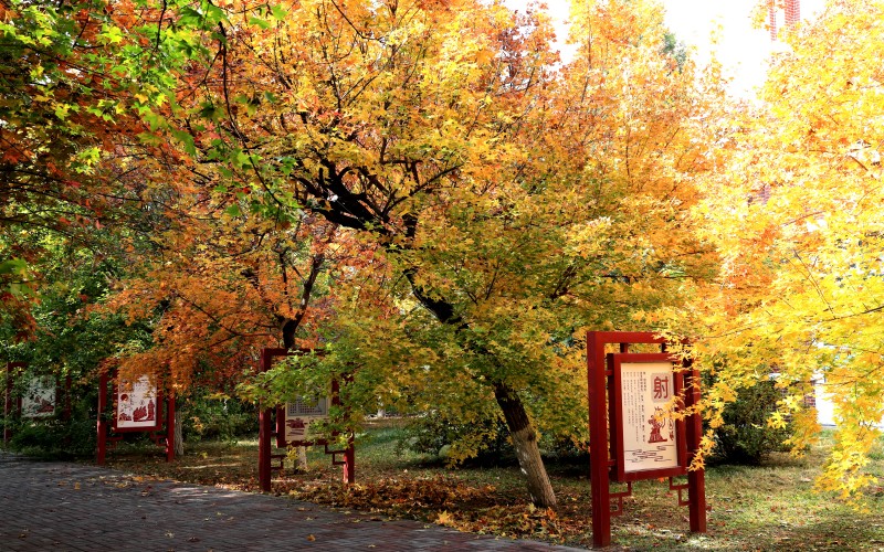 河北石油职业技术大学校园实景