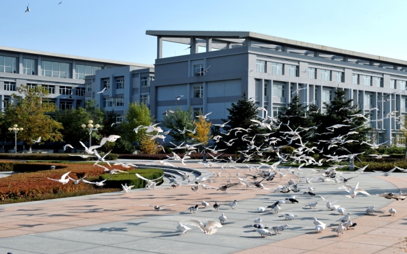 沈阳体育学院校园实景