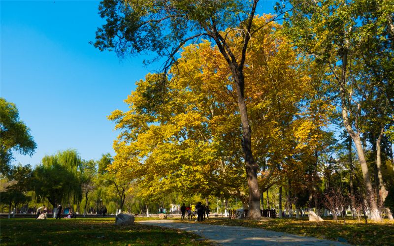 南开大学校园实景