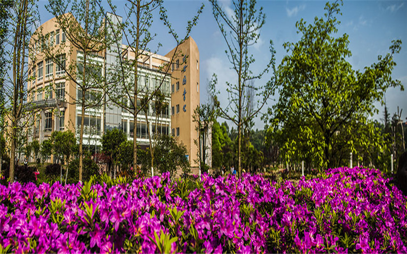 乐山师范学院校园实景