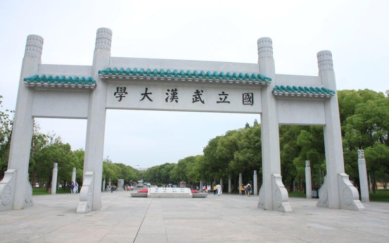 金融工程专业属于哪个大类(门类与专业类)