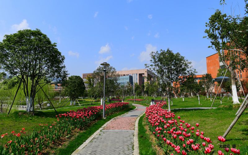 浙江工商大学杭州商学院校园实景