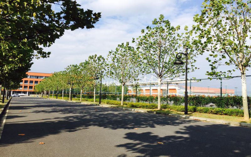 浙江工商大学杭州商学院校园实景