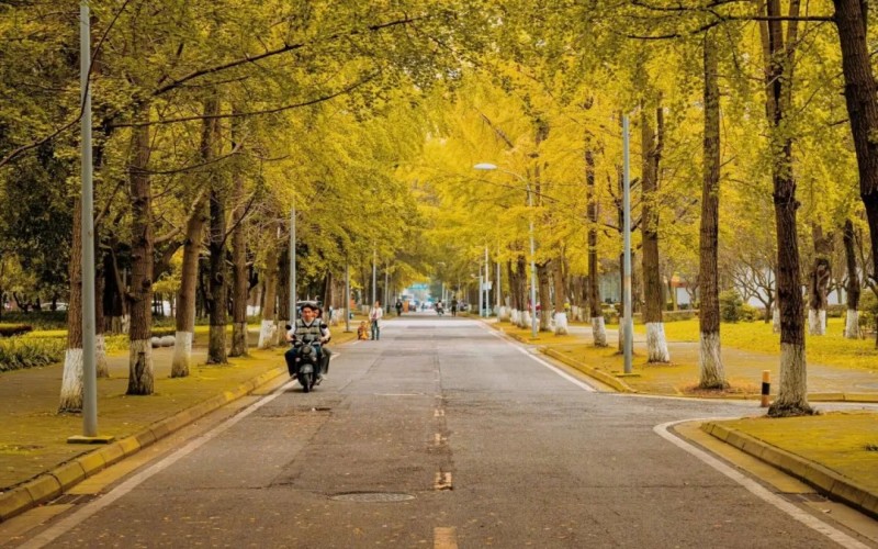 四川大学校园实景