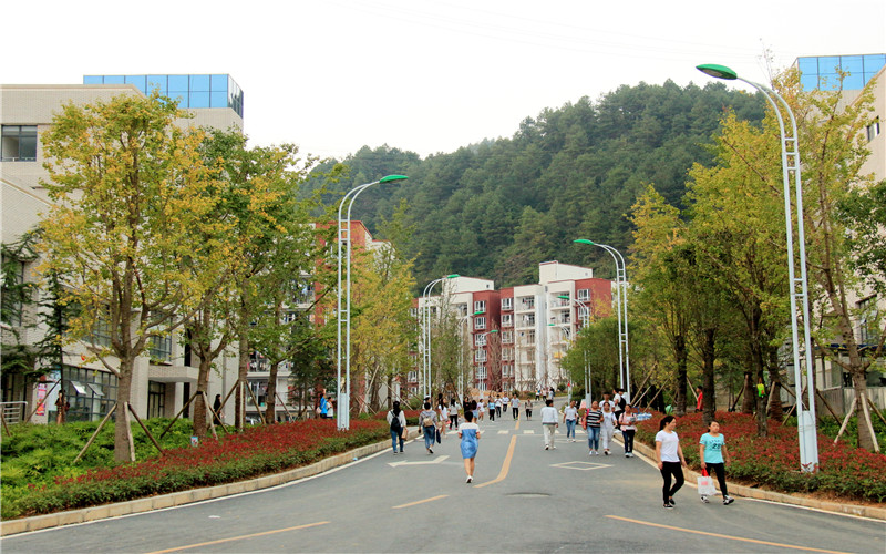 黔南民族医学高等专科学校校园实景