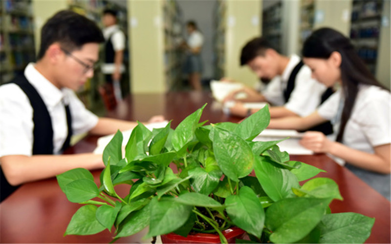 湖南理工职业技术学院招生章程相关院校校园环境