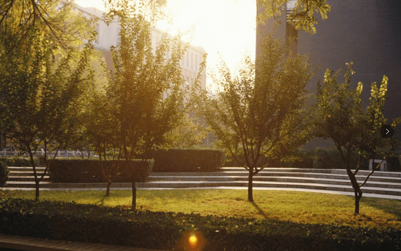 北京林业大学校园实景