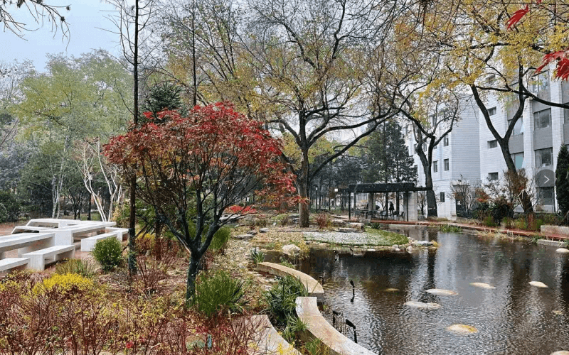 北京林业大学校园实景