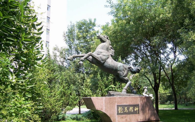 北京林业大学校园实景