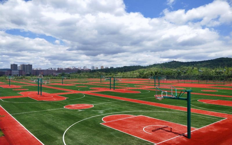 重庆健康职业学院校园实景