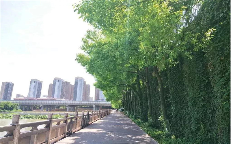 长沙民政职业技术学院校园实景
