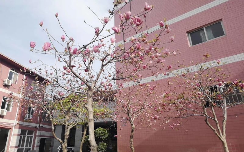 福州科技职业技术学院校园环境