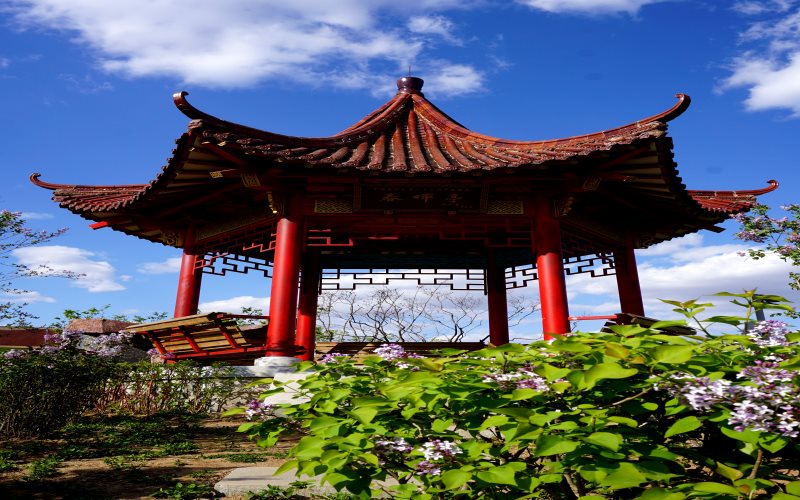 中国医科大学校园实景