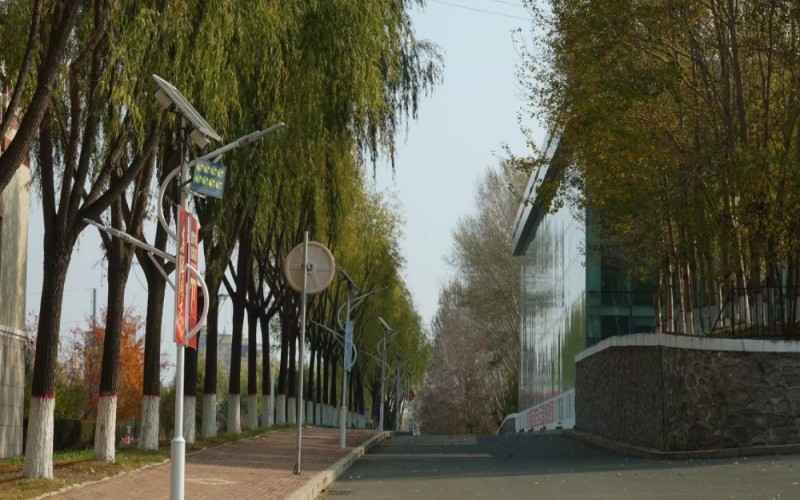 现代农业技术专业选考科目要求相关院校校园环境