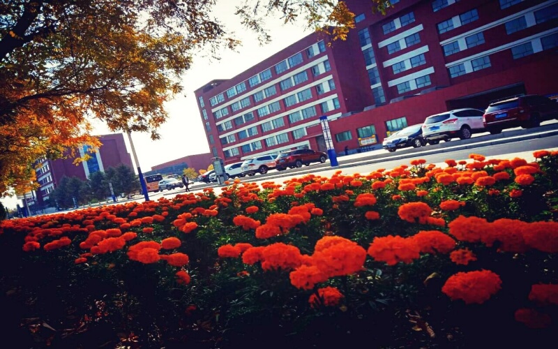 酒泉职业技术大学校园实景