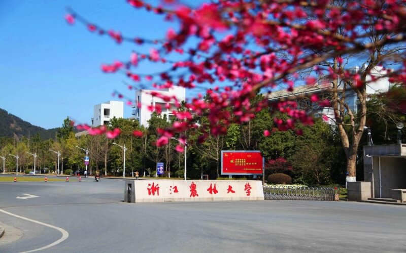 浙江农林大学在青海的招生计划相关院校校园环境