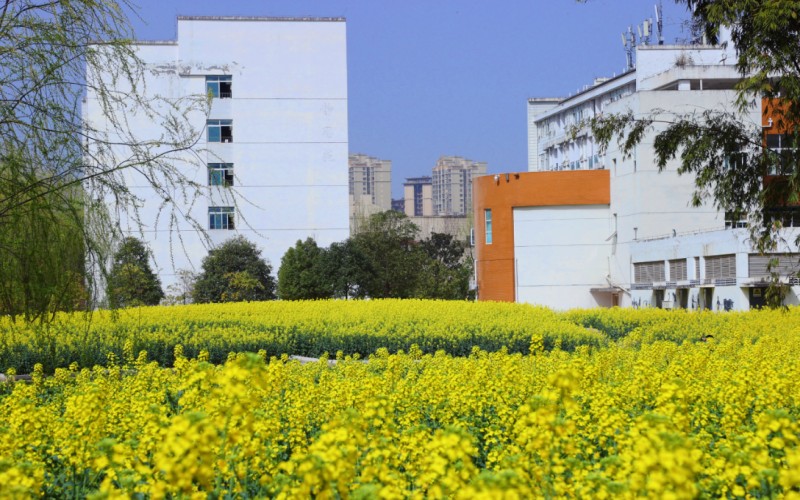 川北幼儿师范高等专科学校校园实景