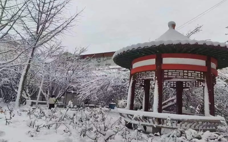 郑州亚欧交通职业学院校园环境