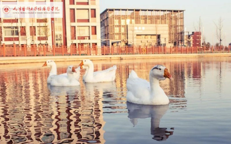 天津医科大学临床医学院校园实景