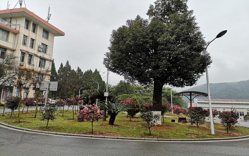 三明学院校园实景