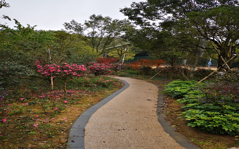 三明学院校园实景