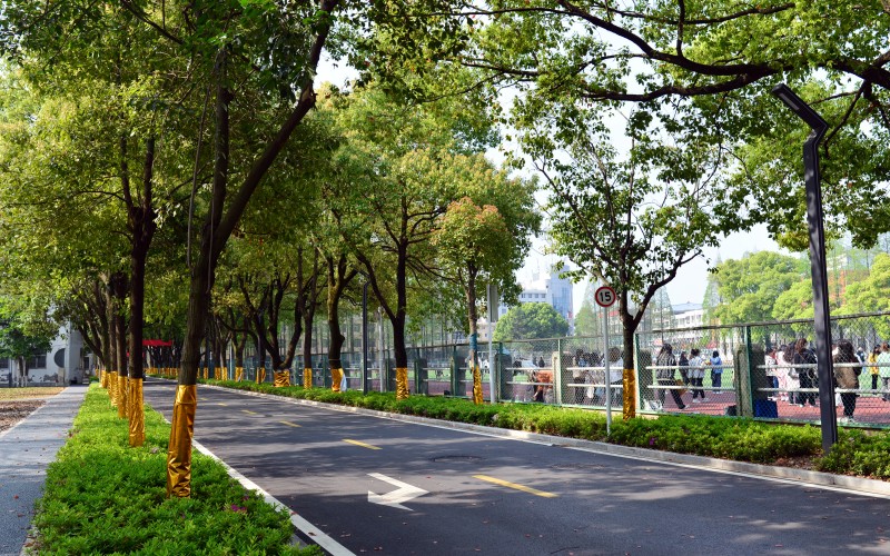 江汉艺术职业学院在河南的招生计划相关院校校园环境