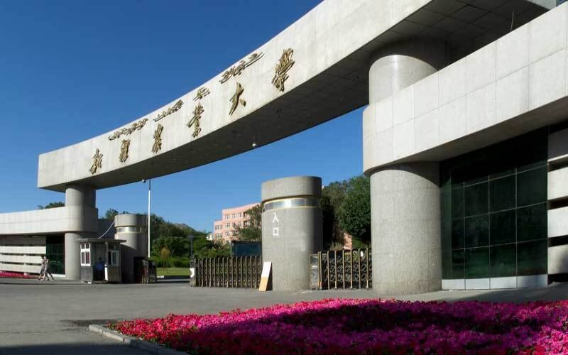 新疆农业大学校园环境