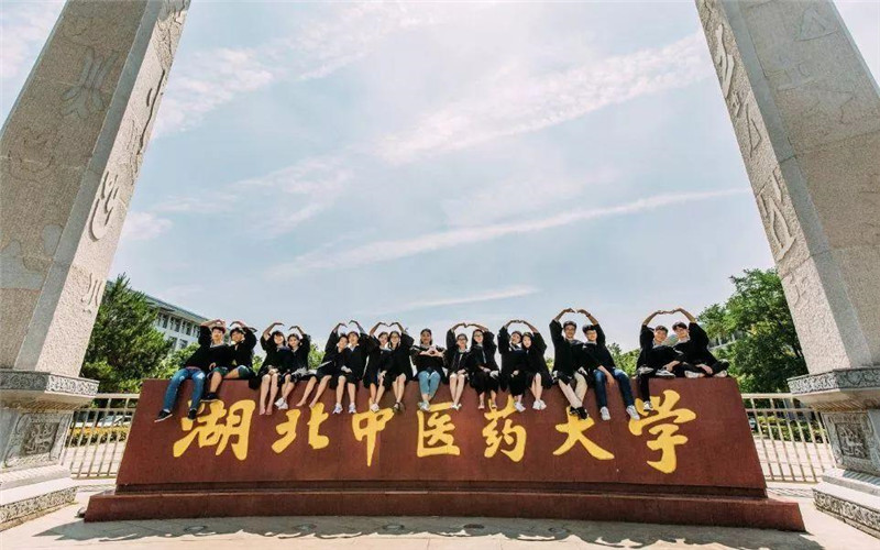2026年湖北中医药大学在黑龙江录取位次是多少相关院校校园环境