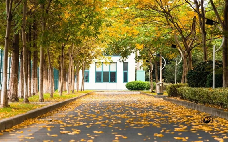 浙江水利水电学院校园实景